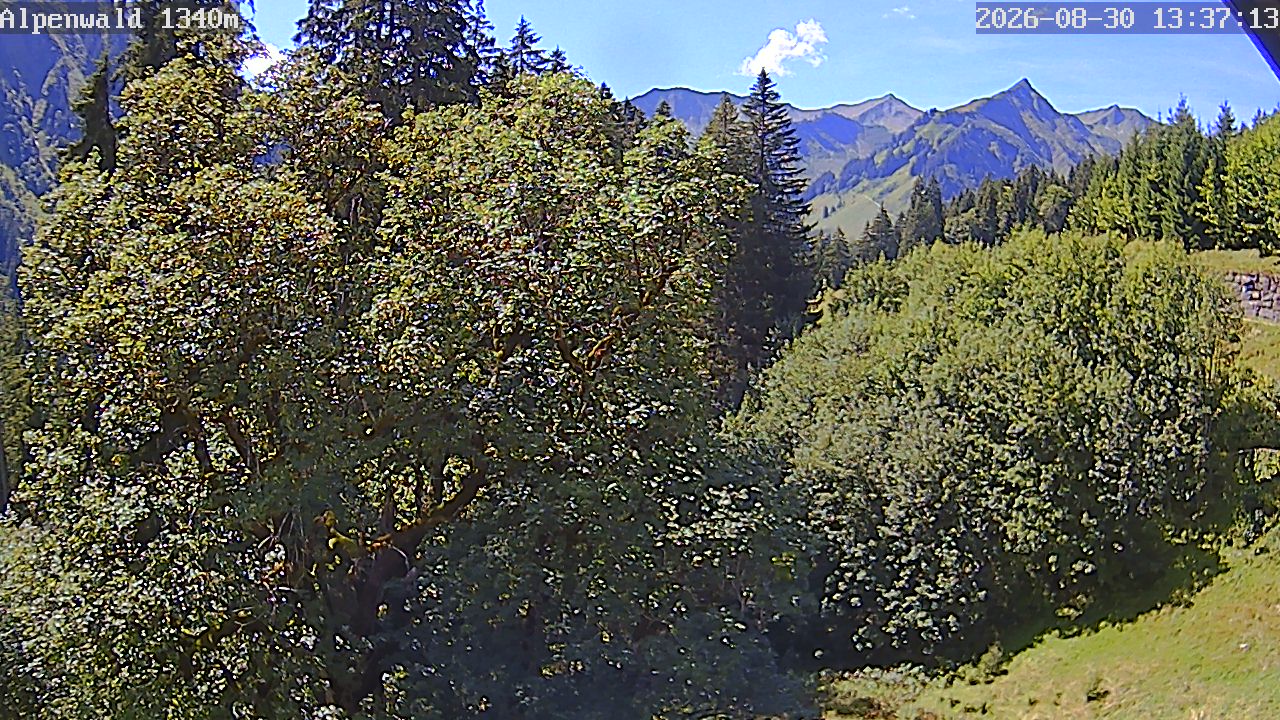 Image: Gasthof Alpenwald